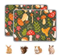 BeBeJoJo Lot De 2 Tapis Lavables Et Réutilisables pour Cage De Cochon D’Inde, Doublures Absorbantes pour Pipi, Tapis pour Petits Animaux, Lapins Et Hamsters