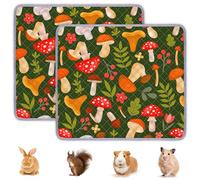 BeBeJoJo Lot de 2 tapis lavables pour cage de cochon d'Inde, réutilisables, imperméables, super absorbants, marron, 70 x 60 cm