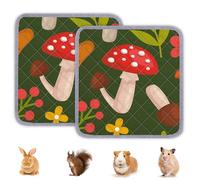 BeBeJoJo Lot de 2 tapis lavables pour cage de cochon d'Inde, réutilisables, imperméables, super absorbants, marron, 30 x 30 cm