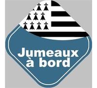 bébés à bord jumeaux bretons (15x15cm) - Sticker/autocollant