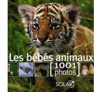 BEBES ANIMAUX EN 1001 PHOTOS