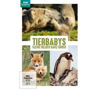 Bébés animaux - petits héros très grand DVD NEUF EMBALLAGE D'ORIGINE
