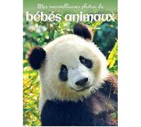 Bébés animaux - Photos: Mes 800 plus belles photos