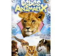 Bebes Animaux Vol.1