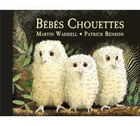 Bébés Chouettes