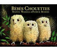 Bébés chouettes