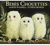 Bébés Chouettes