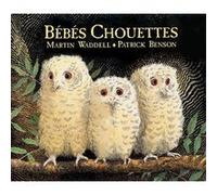 Bébés Chouettes