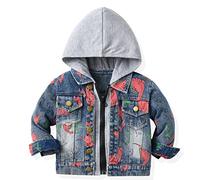 Bébés Garçins Veste en Jean Manteau Enfants Capuche Denim Blouson Mode Vêtements D'Extérieur Causal Manches Longues Fermeture éclair Printemps Automne Outfits Dinosaures Gris 2-3 Ans
