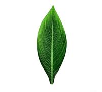 Bebykilemi Feuilles artificielles de Monstera pour décoration de fête tropicale - Plante hawaïenne réaliste en plastique vert pour salle de mariage, hôtel, salon et (1)