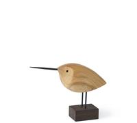Bec Nordique Chaud Oiseau Éveillé Bécassine Teck