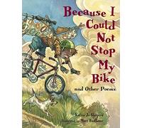 Because I Could Not Stop My Bike