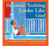 Because Nothing Looks Like God by Lawrence KushnerKaren Kushner Karen Kushner, Lawrence Kushner (Auteur)
