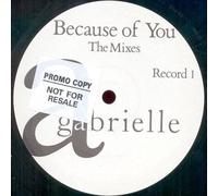 Because of you (Mixes) / Vinyl Maxi Single [Vinyl 12'']