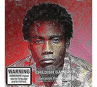 Because The Internet [Import Allemand]