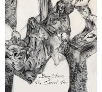 Becca Stevens & The Secret Trio – Becca Stevens & The Secret Trio – CD (Membran)