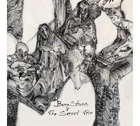 Becca Stevens & The Secret Trio Becca Stevens & the Secret Trio (CD) Album