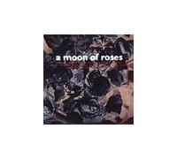 Beckett, Harry - Moon of Roses