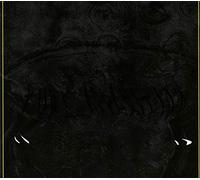 Becoming Real - Pure Apparition [Import]