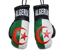 BeCreative Paire de gants de boxe pour rétroviseur de voiture (Algérie)