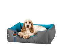 BedDog Lit pour Chien M - Orelier - Panier - Canapé - Housse Amovible, Lavable, pour Petits Chiens