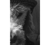 Bedlington Terrier Calendar and Notebook