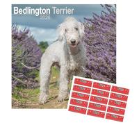 Bedlington Terrier Calendrier 2026 | Calendrier mural carré de race de chien | 16 mois | avec autocollants d'organisation