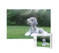 Bedlington Terrier Chiens drôles Chiens à Fourrure Animaux de Compagnie,Puzzle Familial en Bois de 300 pièces pour Adultes et Adolescents, décoration d'intérieur