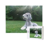 Bedlington Terrier Chiens drôles Chiens à Fourrure Animaux de Compagnie,Puzzle Familial en Bois de 500 pièces pour Adultes et Adolescents, décoration d'intérieur