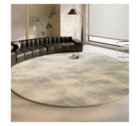 Bedroom Decor Carpet Light Carpets for Living Room Fluffy Soft Round Shape Lounge Rug Home Thick Plush Mat(Color02,300x300cm)