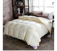 BEDSETS Couette Légère Été 4 Saisons 220x240cm Hypoallergénique Bicolore Gris Foncé + Gris Clair Couette De Lit Réversible 2 Personnes Couverture D'été d'hiver (Beige,150x200cm3kg)