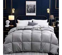 BEDSETS Tte Légère Été 4 Saisons 220x240cm Hypoallergénique Bicolore Gris Foncé + Gris Clair Couette De Lit Réversible 2 Personnes Couverture D'été d'hiver (Gris,150x200cm3 kg)