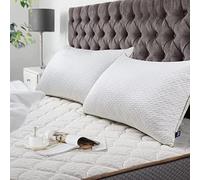 BedStory [Bambou Fibre Oreillers 50x70 Lot de 2 avec Taies Antiacariens Amovibles, Anti-Allergies avec Garnissage 10% 7D et 90% 3D Polyester, Qualité Hotel