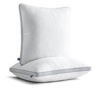 BedStory Lot de 2 oreillers 40 x 40 cm, réglables en fibre avec fermeture éclair, en microfibre, 400 g x 2 cm, pour personnes allergiques, dormant sur le côté et sur le dos
