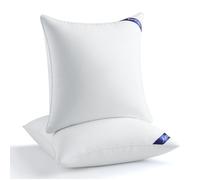 BedStory Lot de 2 Oreillers 60x60cm,convient pour Lit, Canapé, Chaise