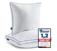 BedStory Lot de 2 oreillers 80 x 80 cm - Avec fermeture éclair - 2 x 1500 g - En microfibre - Réglable en hauteur - Respirants et lavables - Pour les personnes allergiques - Certifié Öko-Tex