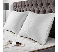 BedStory Oreiller 60x60 (2 Pièces) - Qualité Hôtelière de Luxe Oreiller - avec Housse en Fibres de Bambou Amovibles - Anti-acariens - Hypoallergénique -Confortable - Doux et Respirant