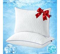 BedStory Oreiller Lot de 2 Oreiller Mémoire Forme 40x60 - Ergonomique Cervical - Infusé de Gel Rafraîchissant - Housse Lavable Soie Glacée - Hauteur Personnalisable- Hypoallergéniques