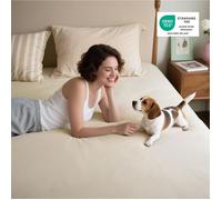 Bedsure Drap-housse 100% Jersey de Coton Cooling - Easy Care - Grand Bonnet 30cm - Hotel Luxury - 180x200+30cm - Tapioca