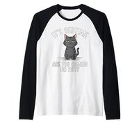 Bedtime Cat : venez-Vous ou n'êtes-Vous Pas Un Amoureux des Animaux ? Manche Raglan
