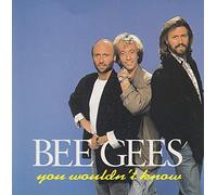 Bee Gees - You WouIdn't Know (By The Wonderful Bee Gees)