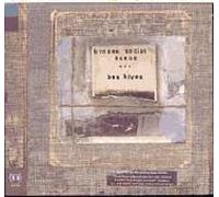 Broken Social Scene - Bee Hives