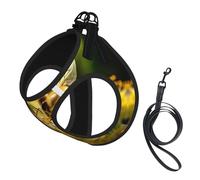 Bee Honeybee3 Harnais pour petit chien avec laisse pour chien de petite taille, facile à promener, pour dressage et promenade