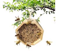 Bee Hotel - Maison de pollinisation en bois, boîte de nidification d'insectes pour jardins | Abeilles sauvages, coccinelles et papillons, abri de jardin, qui soutient la pollinisation naturelle