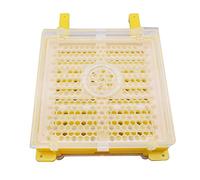 Bee incubateur Apiculture Tool Kit Reine cellule complète Reine Kit Apiculture Se cabrer Système Se cabrer Boîte Kit Reine Se cabrer d'élevage