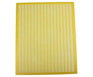 Bee Queen Grille de boudin pour l'apiculture, séparateur de ruche en plastique, équipement de gestion des apiculteurs, feuille de protection de cadre, jaune