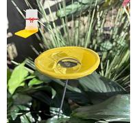 Bee Watering Station with Glass Marbles, Hummingbird Feeders for Outdoors, Butterfly Puddler Pollinator Drinking Cups, Bee Baths Attractors Bird Water Feeder, Garden Courtyard Hive Decor(F)