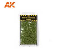 Beech Foliage Summer-Ak Interactive