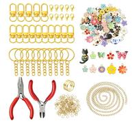BEEFLYING Kit de Fabrication de Porte-clés 289 Pièces Comprend 100 Pendentifs Assortis 25 Fermoirs en Alliage Pinces à Bijoux et Autres Fournitures pour la Fabrication de Porte-clés DIY
