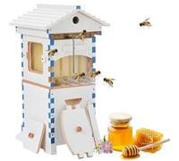 Beehive Starter Kit complet d'apiculture en bois avec 6 plateaux en nid d'abeille, 4 cadres, fenêtre d'observation et bec verseur pour une récolte facile du miel